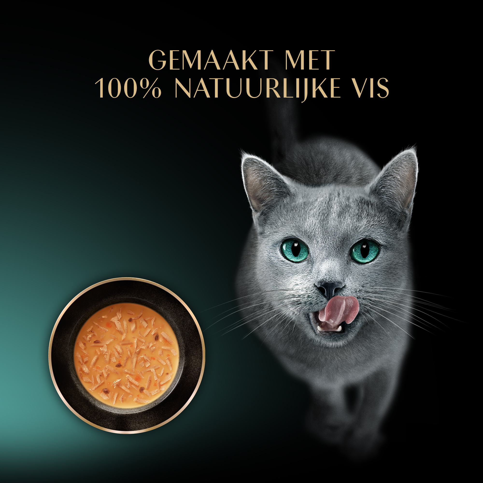 Sheba kopen? De beste prijs bij