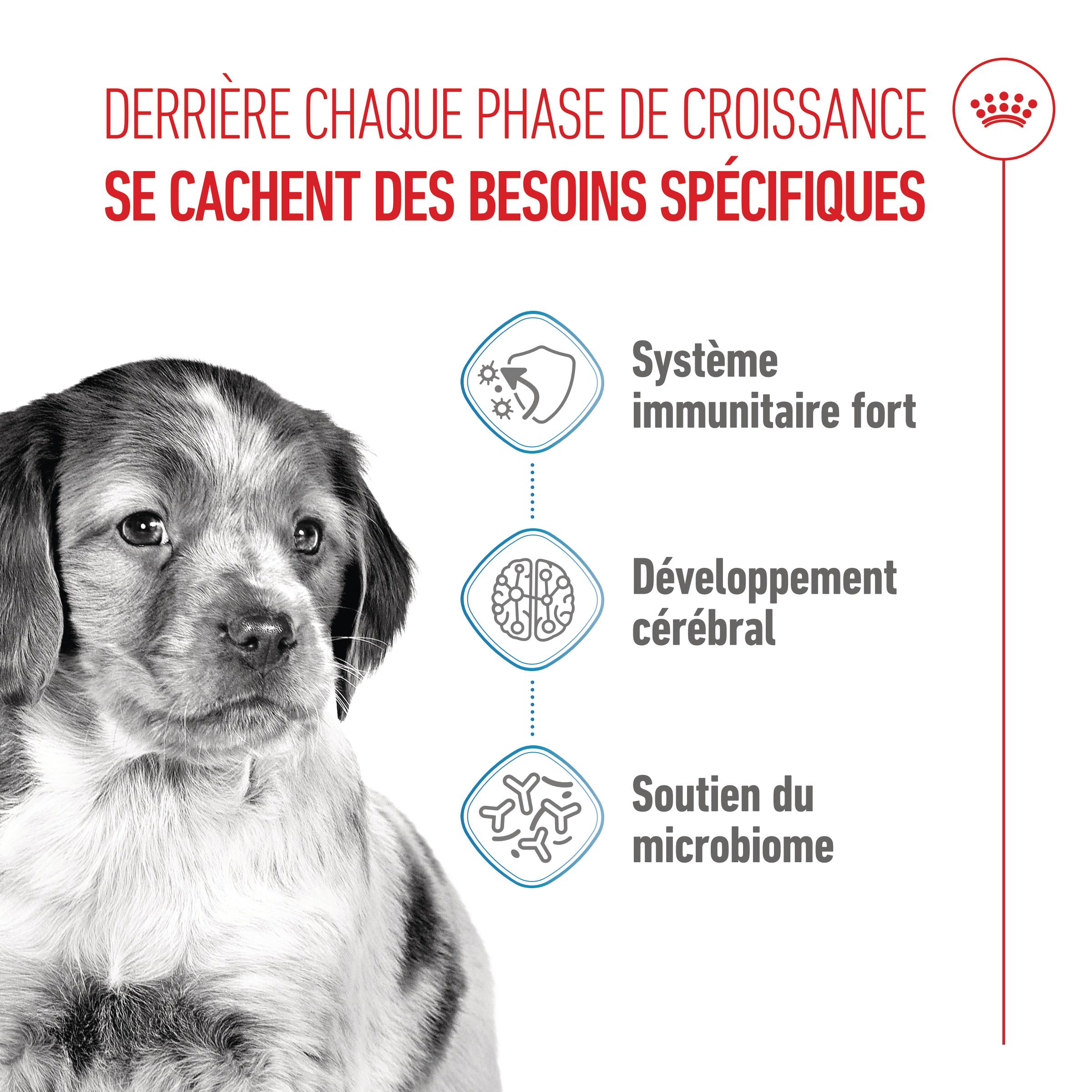 Royal Canin Puppy Medium