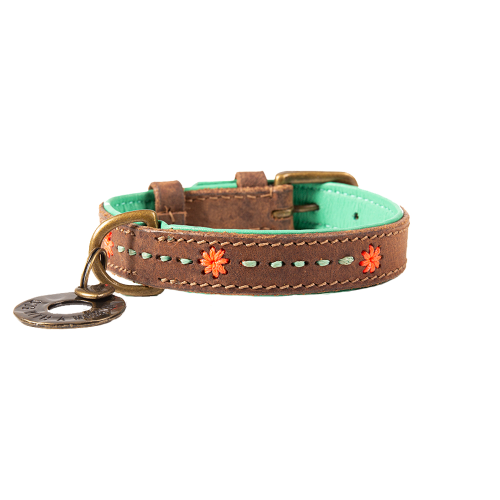 DWAM Dog Collar Joplin - S (2cm)