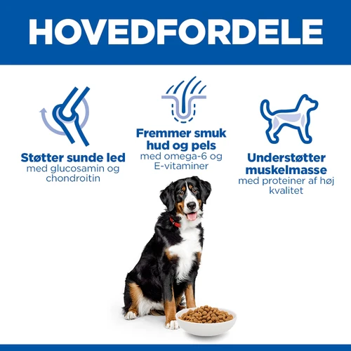 Hill's Science Plan - Large Breed - Adult - Kylling