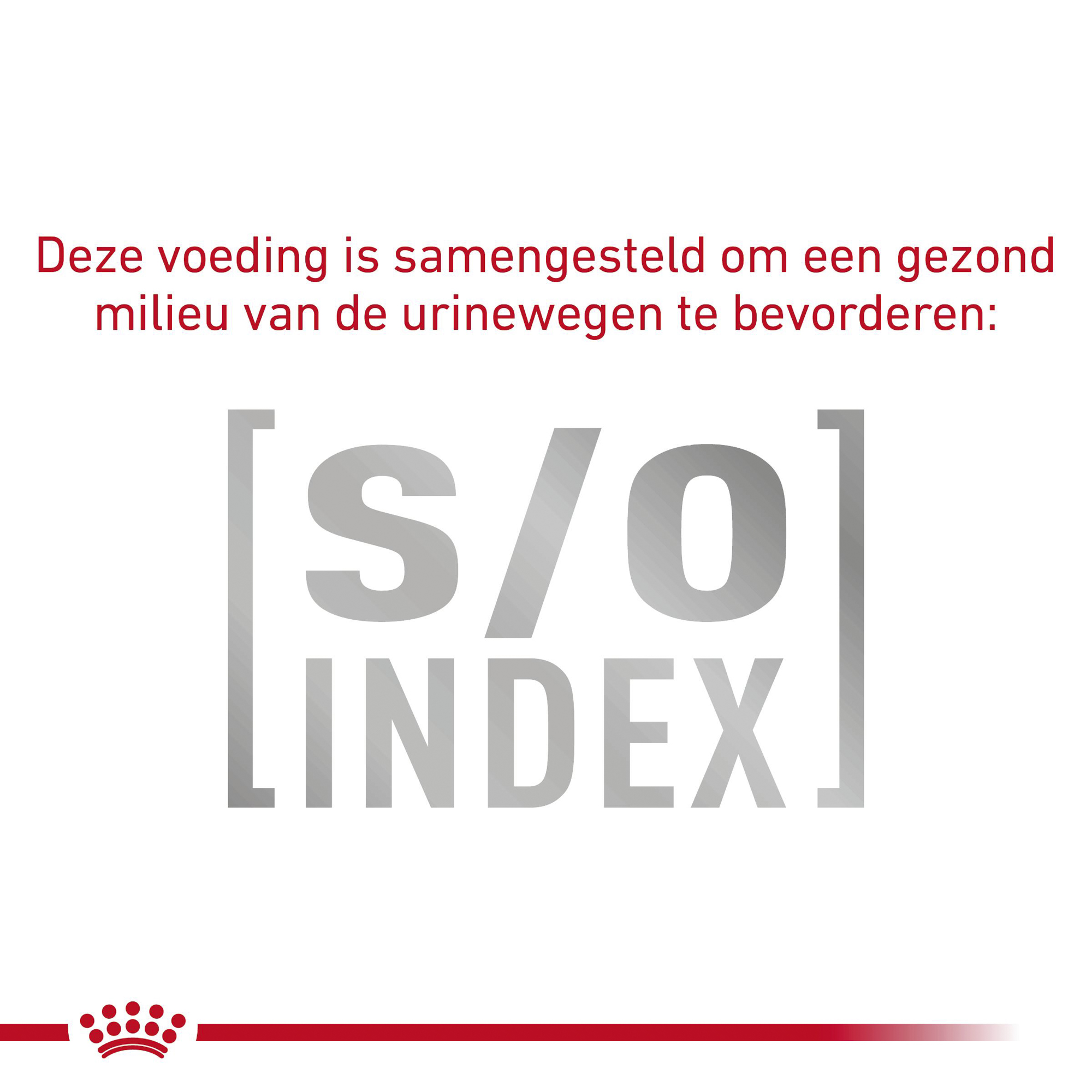 Royal Canin Veterinary Gastro-intestinal Hairball – Pakket Van 3 X 400g, Dieetvoeding Voor Katten, Ter Vermindering Van Haarballen