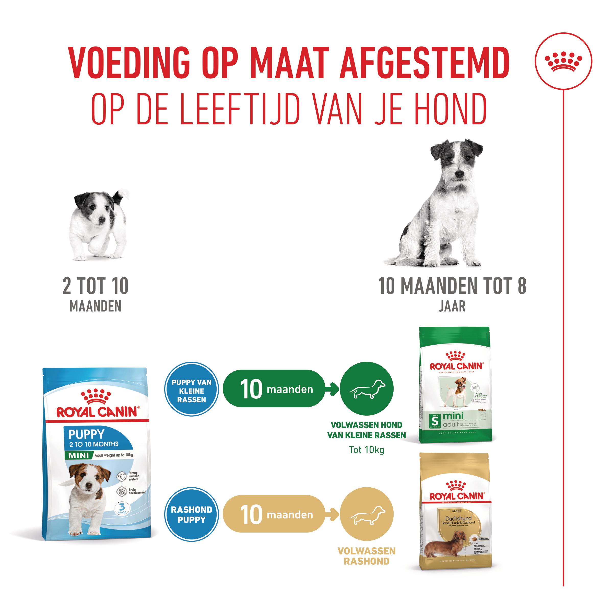 Royal Canin Mini Puppy - Hondenvoer