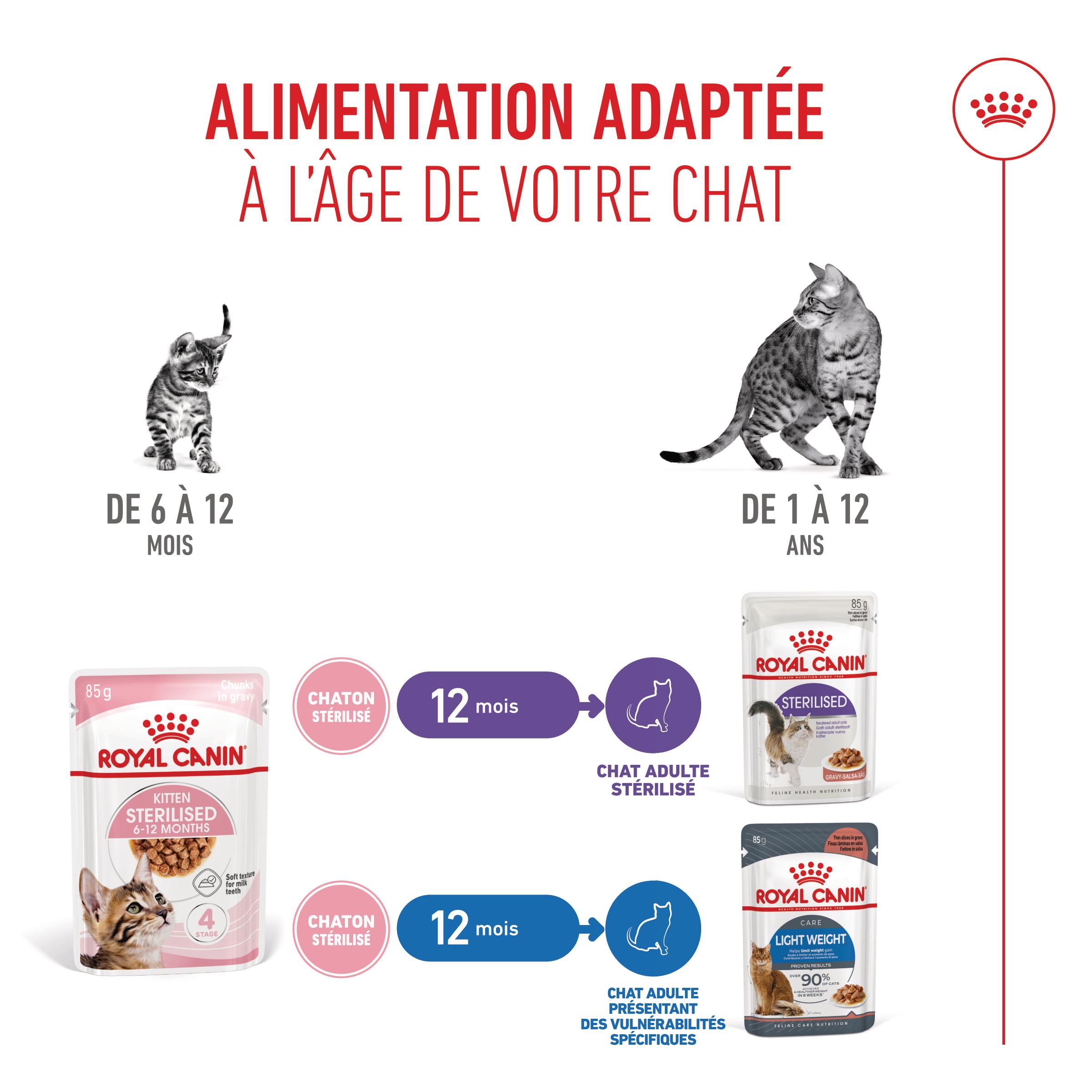 Royal Canin Kitten Sterilised in Gravy - Sachet