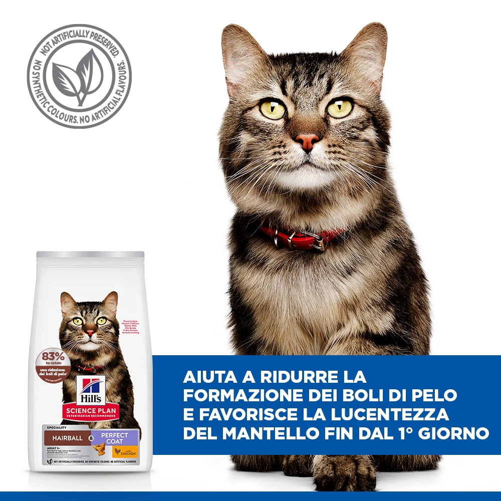 Hill's Science Plan Hairball & Perfect Coat Cibo per Gatti