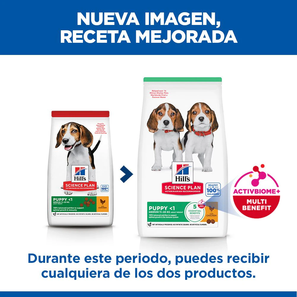 Hill's Science Plan - Puppy - Medium - Pollo