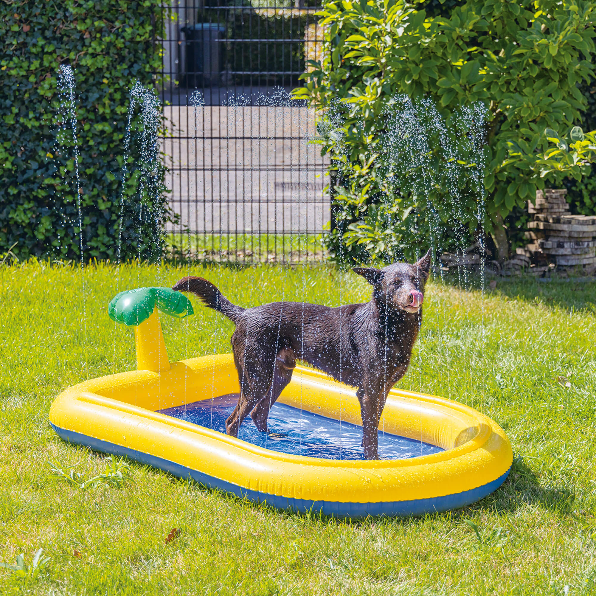 Beeztees Hundeschwimmbad Palmy