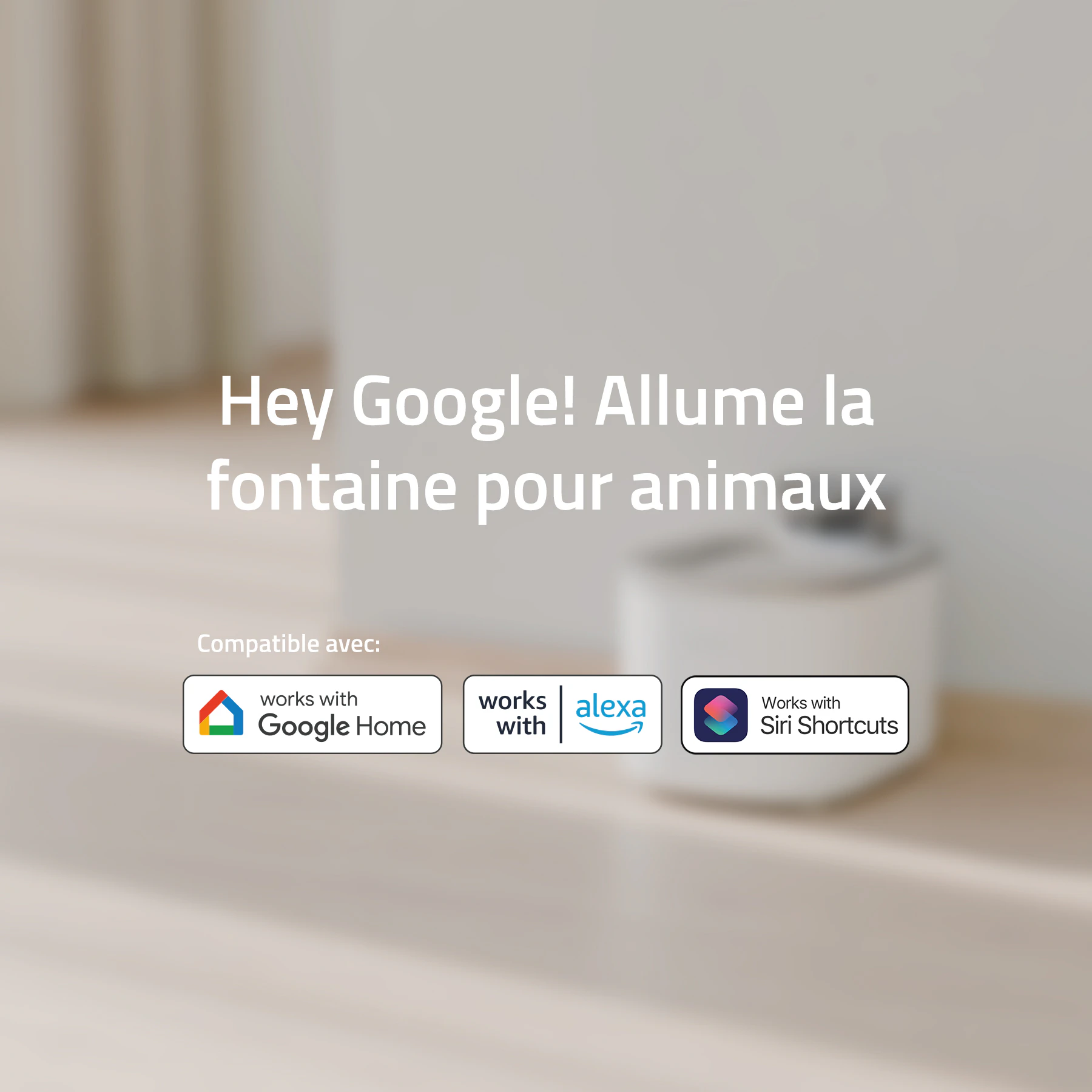 Hombli Smart Fontaine à Boisson