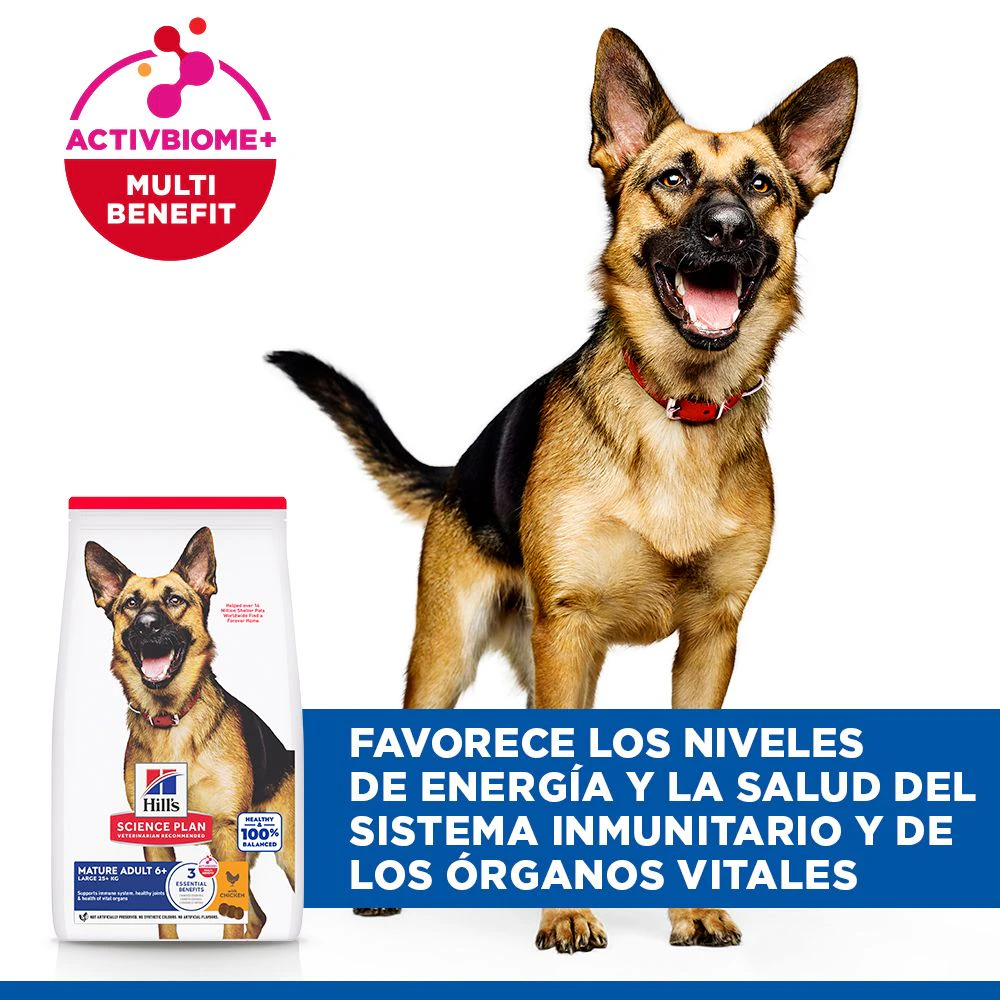Hill's Science Plan - Large Breed - Mature Adult 6+ - Pollo