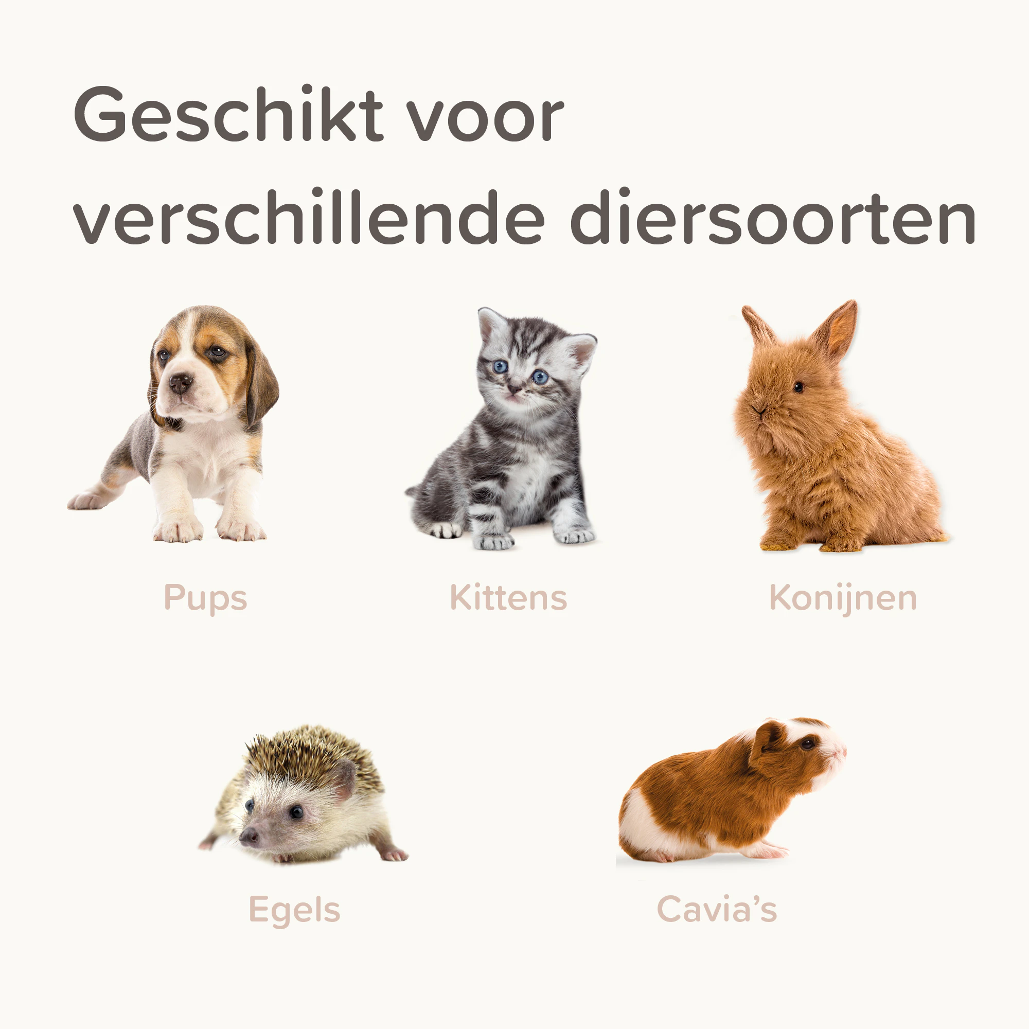 Beaphar Voederspuitjes