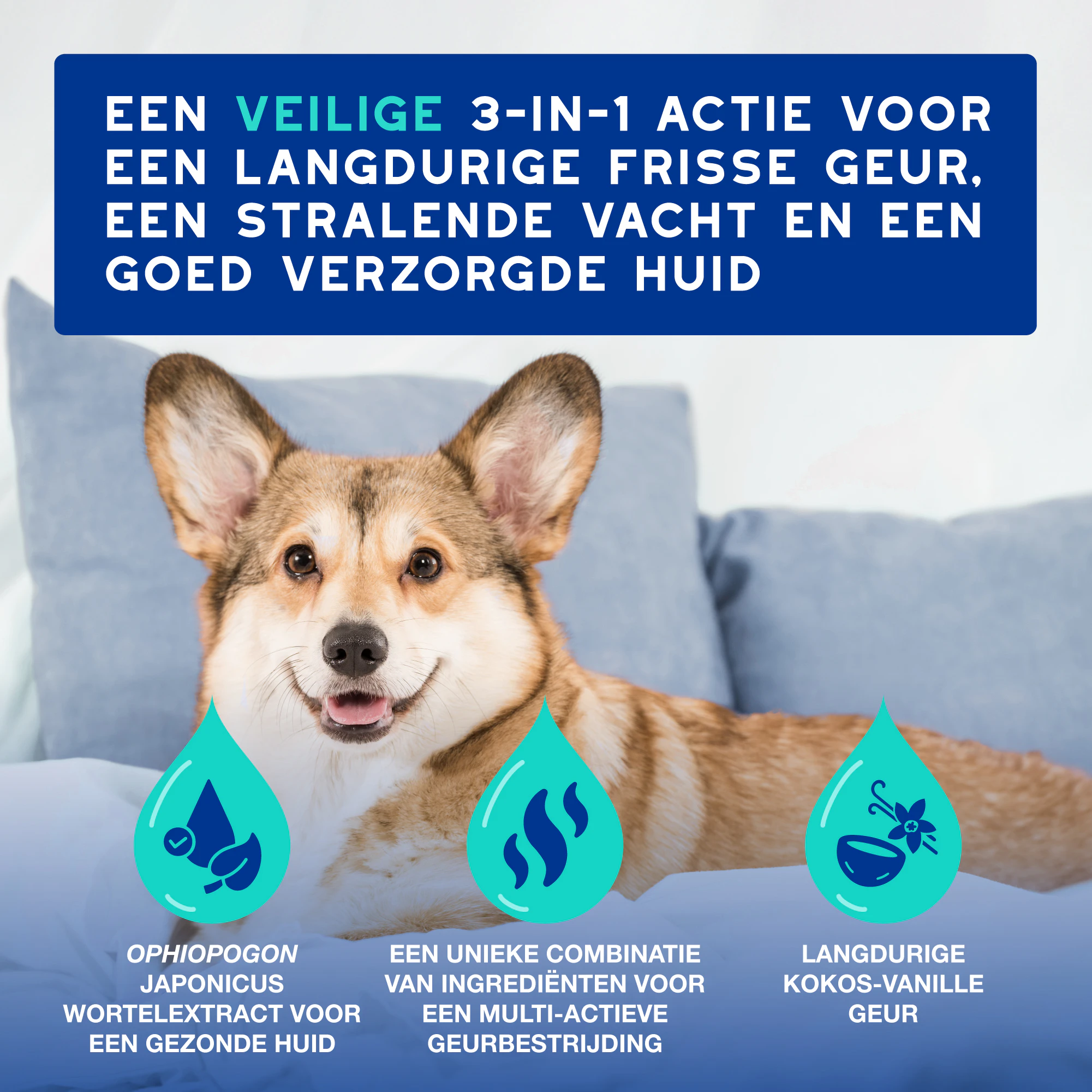 Douxo Spa Spray Anti-Geur