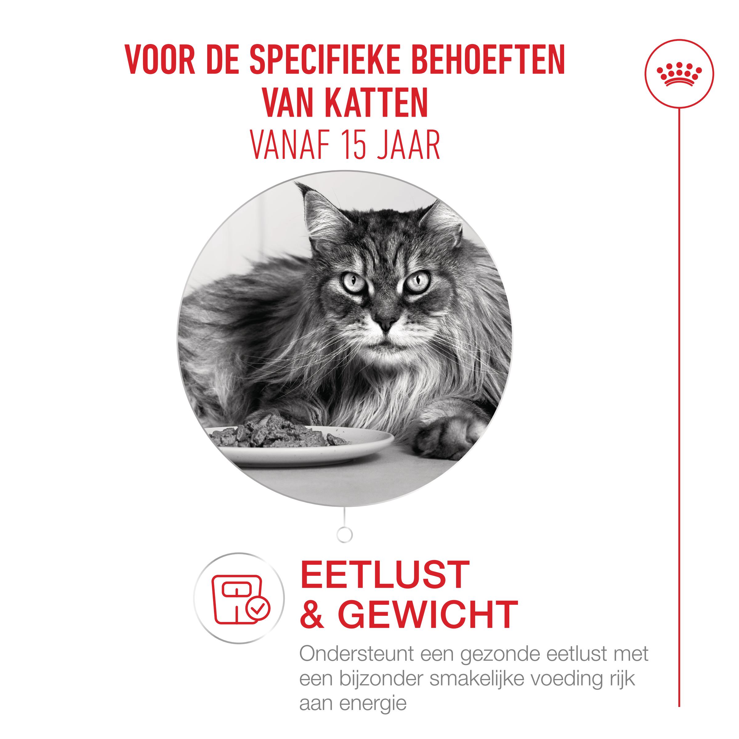 Royal Canin Ageing 15+ - Kattenvoer