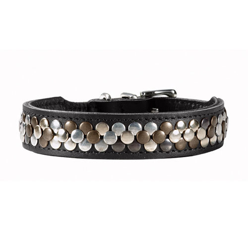 Hunter Arizona - Collier pour Chien