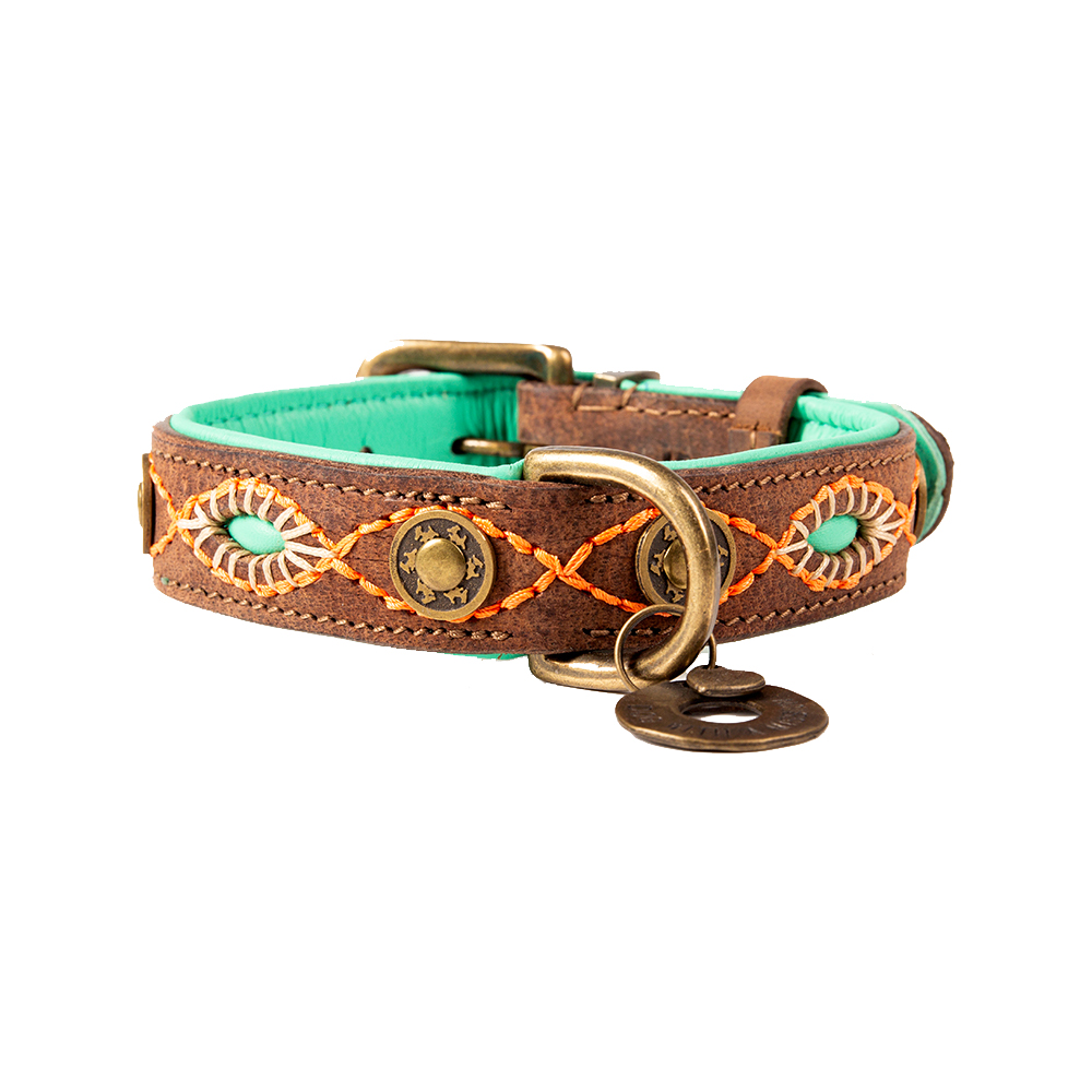 DWAM Dog Collar Joplin