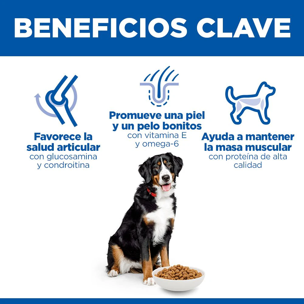 Hill's Science Plan - Large Breed - Adult - Pollo