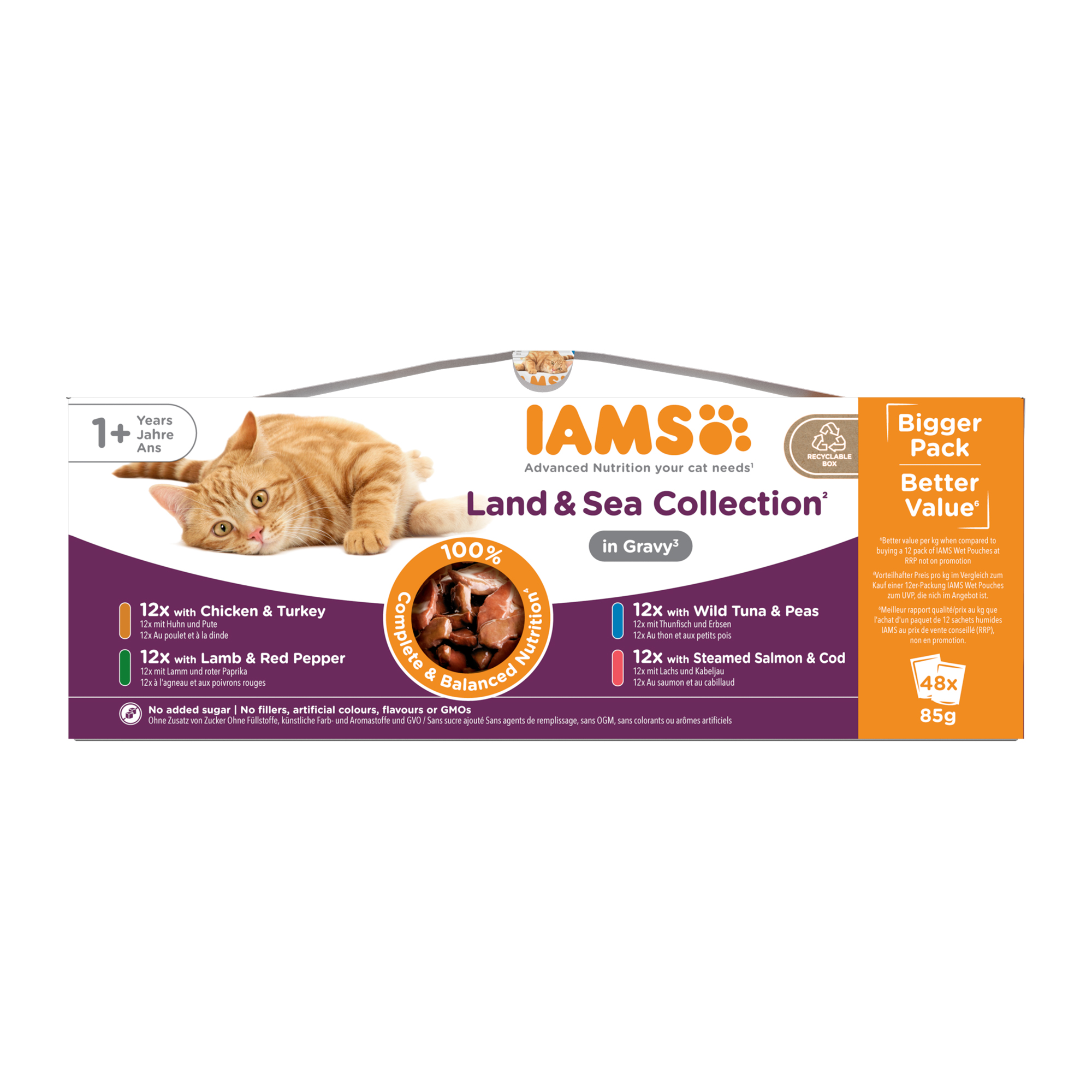 iams cat food wet