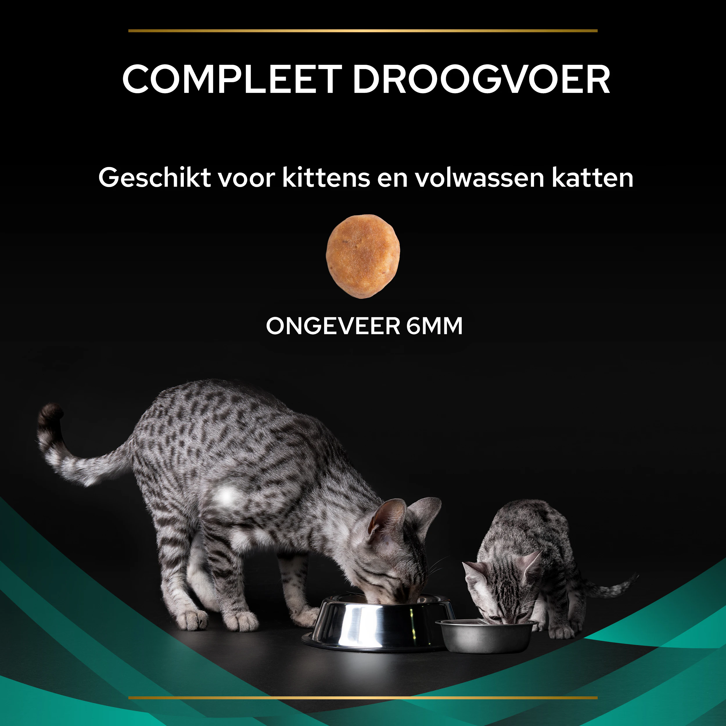 Purina Pro Plan Veterinary Diets EN St/Ox Gastrointestinal - Kat