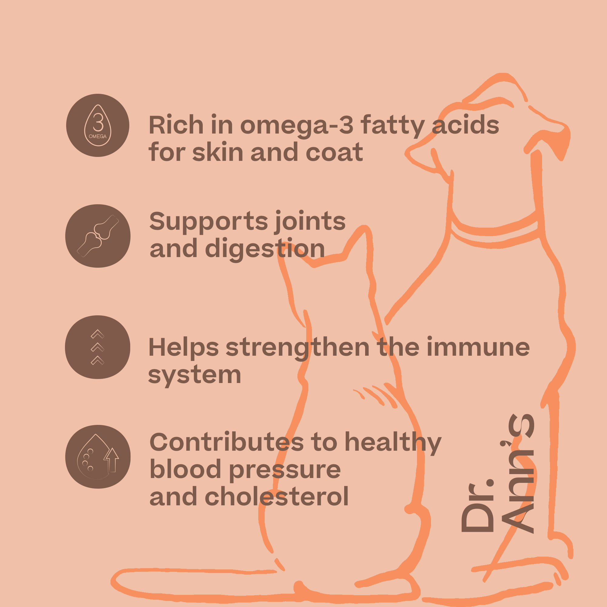 Dr. Ann's Salmon Oil