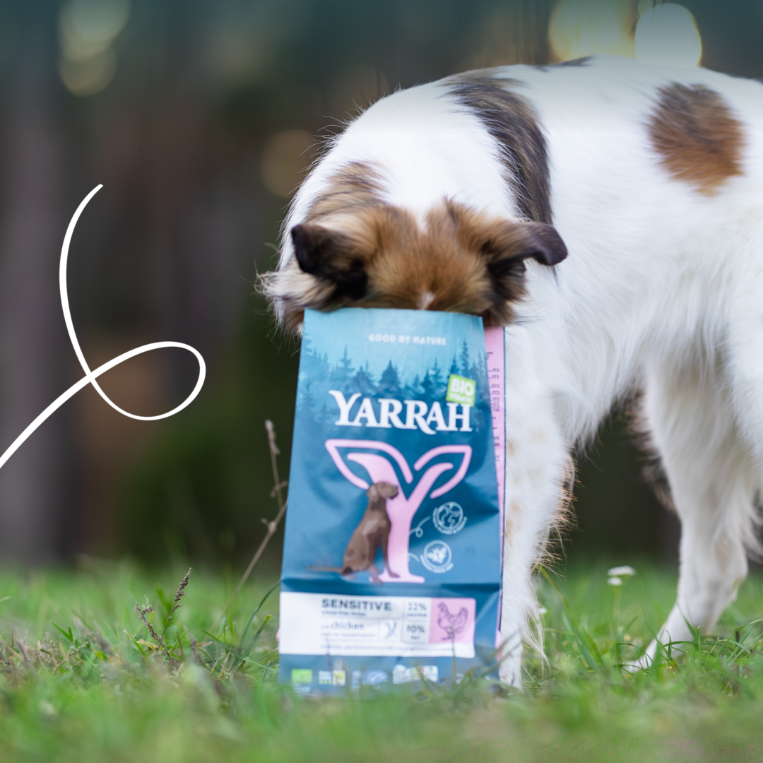 Yarrah - Droogvoer Hond Sensitive Bio