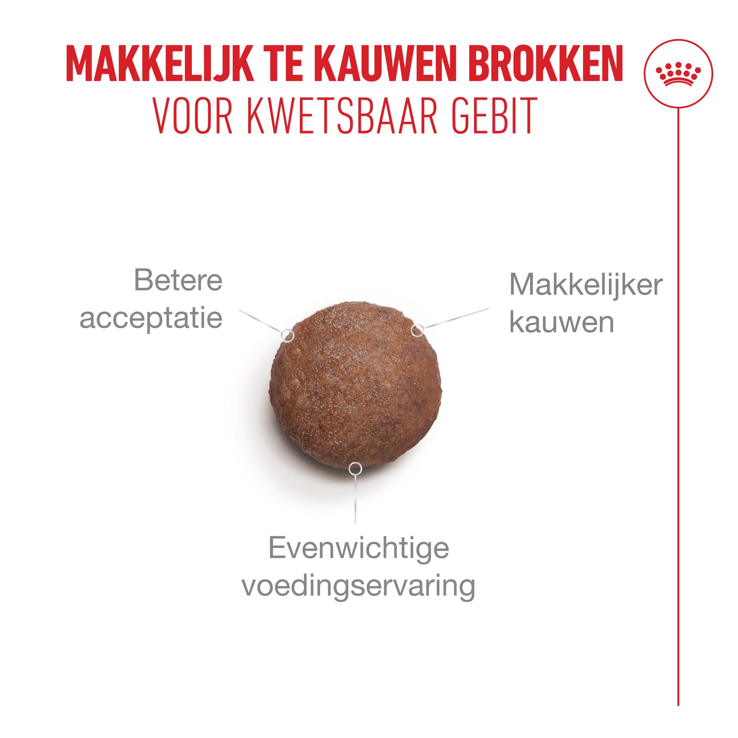 Royal Canin Ageing 11+ - Kattenvoer