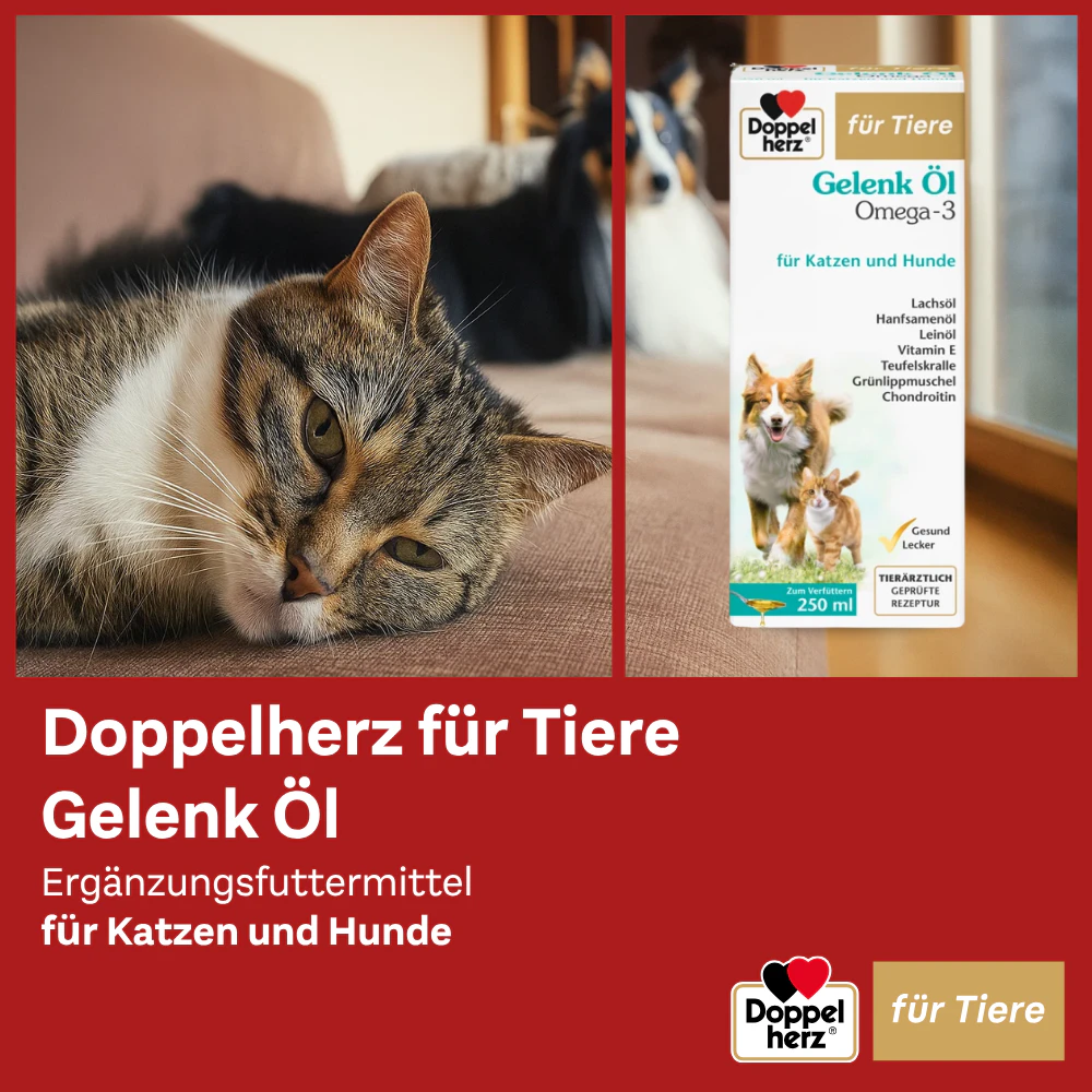 Doppelherz Gelenk Öl Omega-3 für Katzen und Hunde