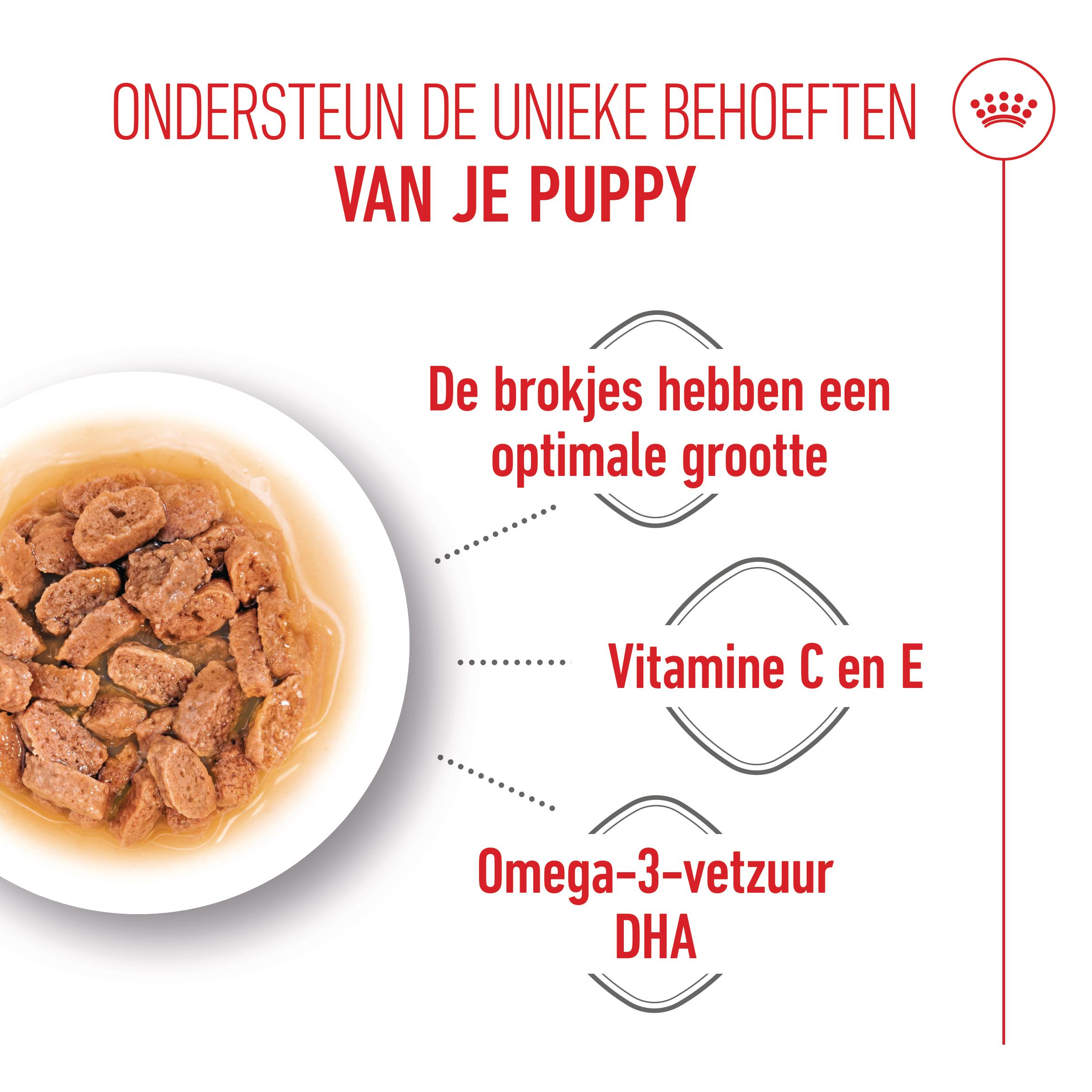 Royal Canin Mini Puppy Wet - Hondenvoer