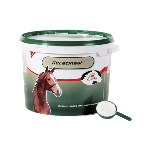 PrimeVal Gelatinat Pferd