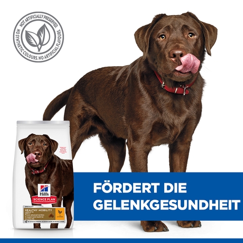 Hill's Science Plan Healthy Mobility Large Hundefutter