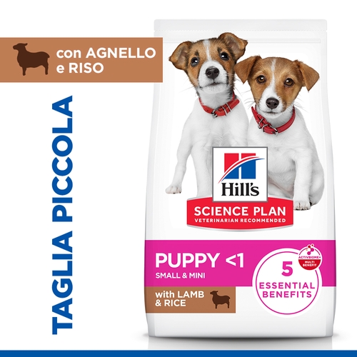Hill's Science Plan Small & Mini - Puppy - Agnello e Riso