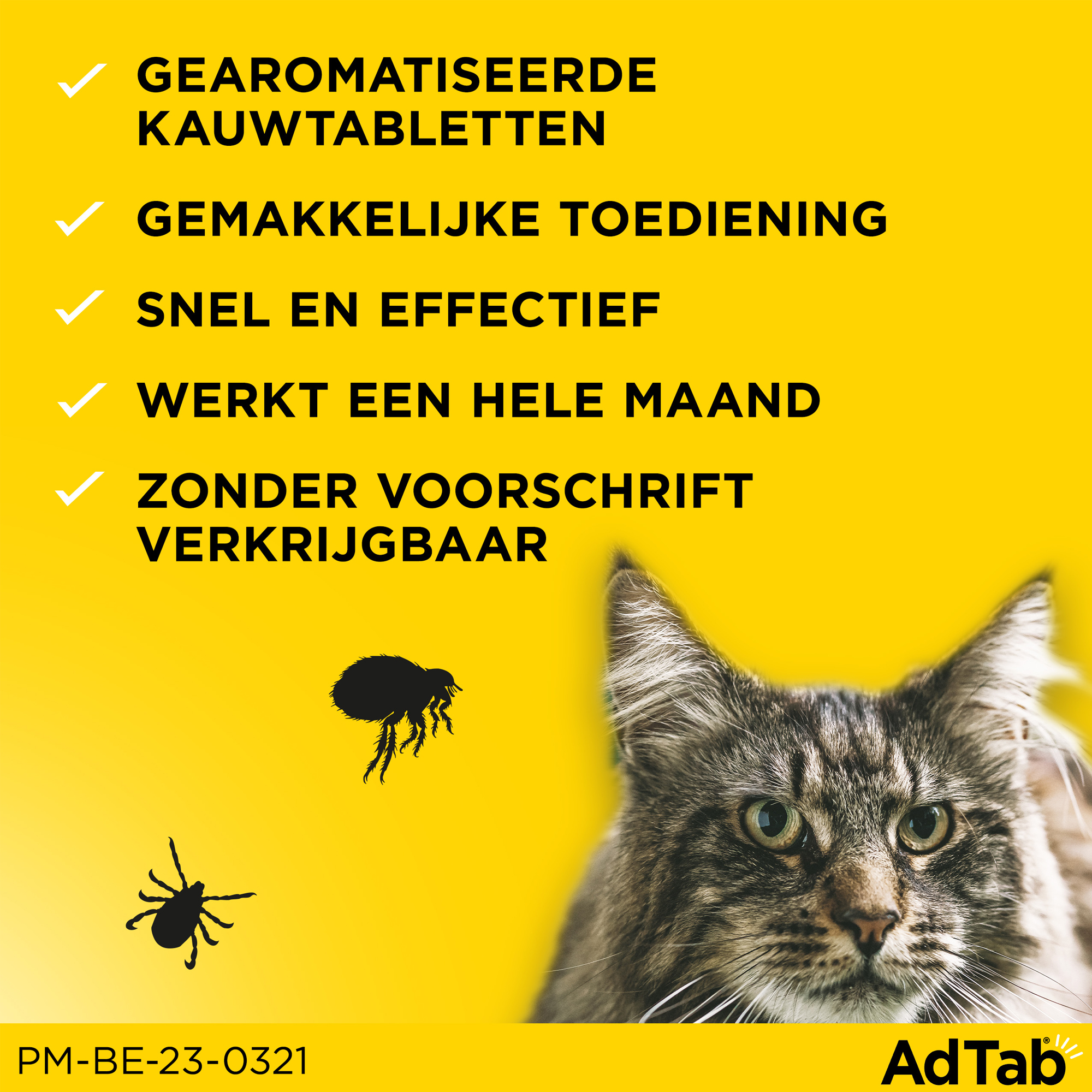 AdTab Kauwtabletten Kat