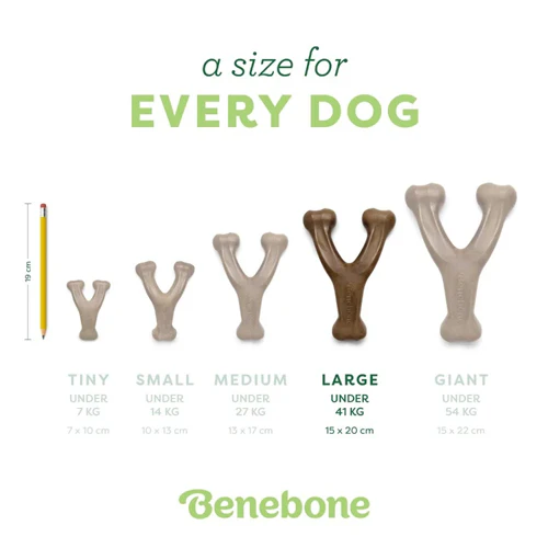 Benebone Wishbone