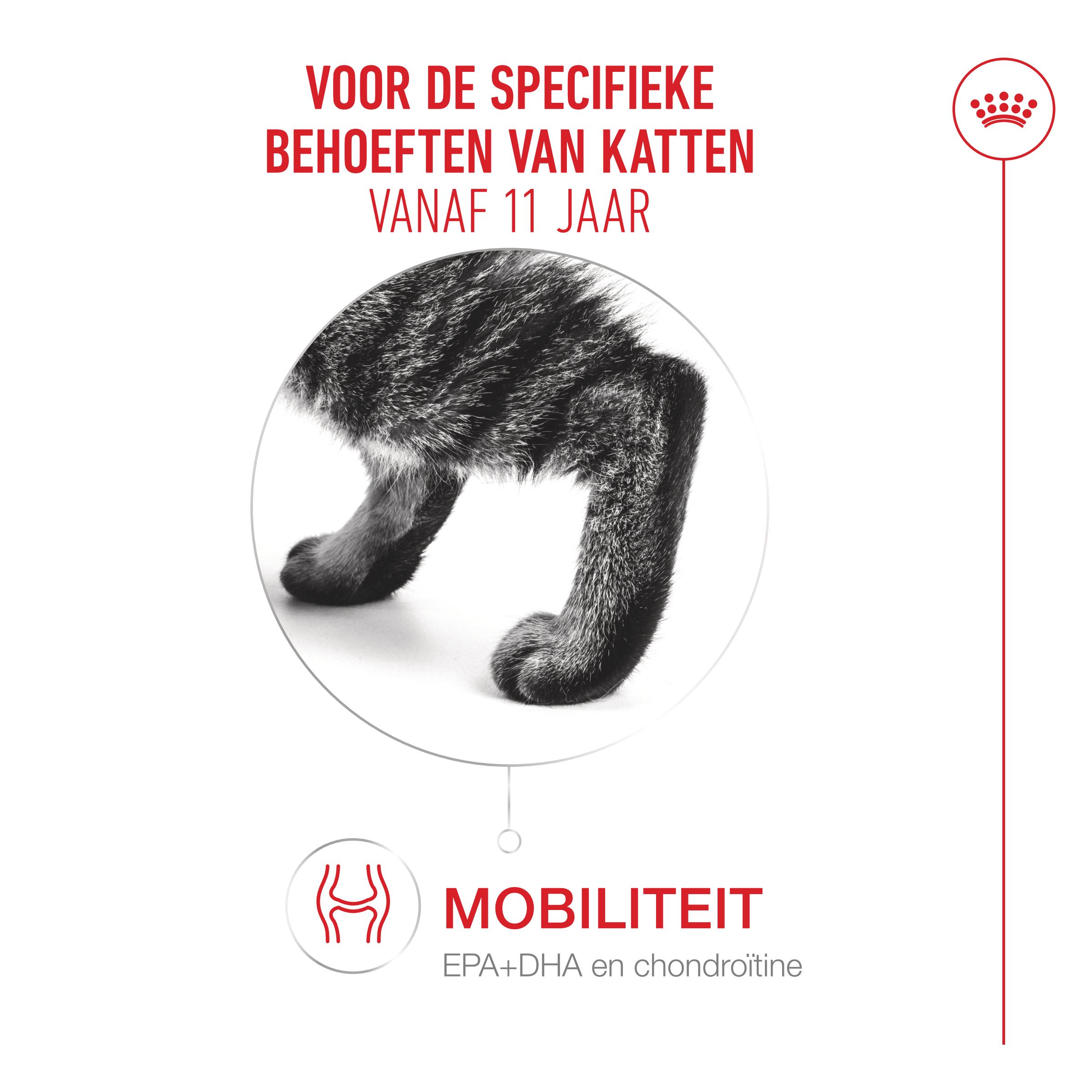 Royal Canin Ageing 11+ - Kattenvoer