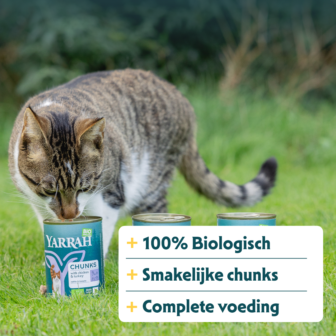 Yarrah - Natvoer Kat Blik Chunks met Kip & Kalkoen Bio