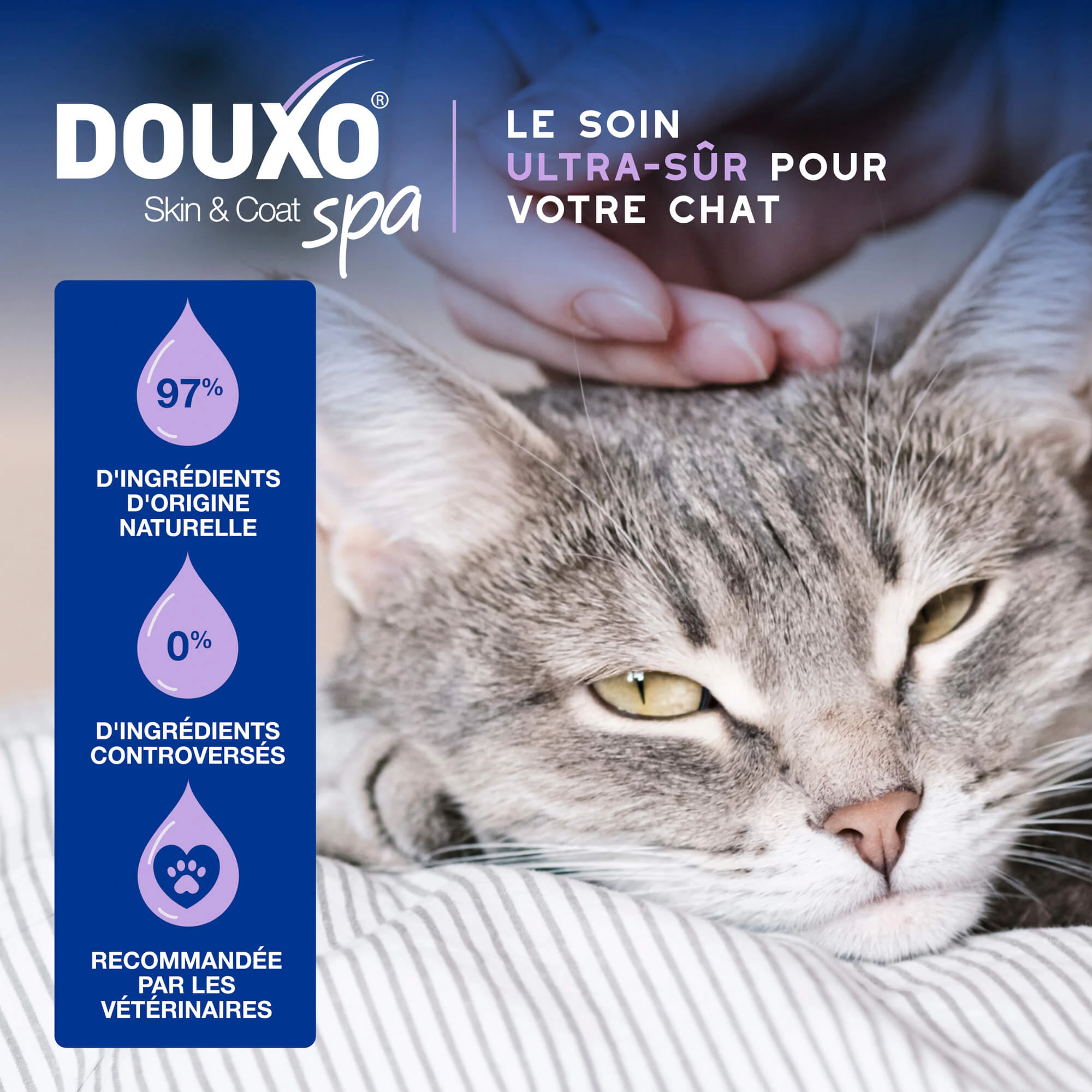 Douxo Spa Cat Mousse - Mousse de soin quotidien pour chats