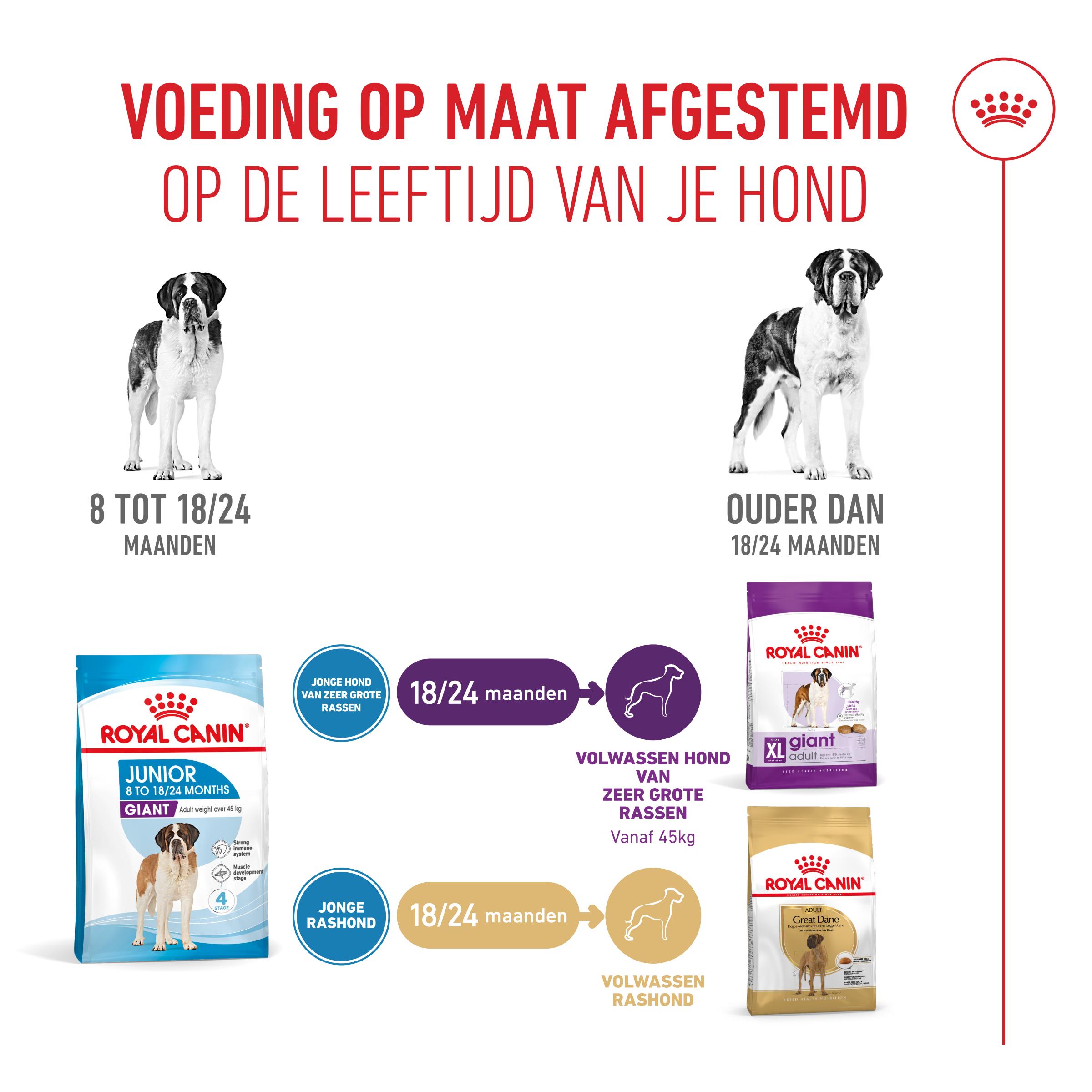 Royal Canin Giant Junior - Hondenvoer