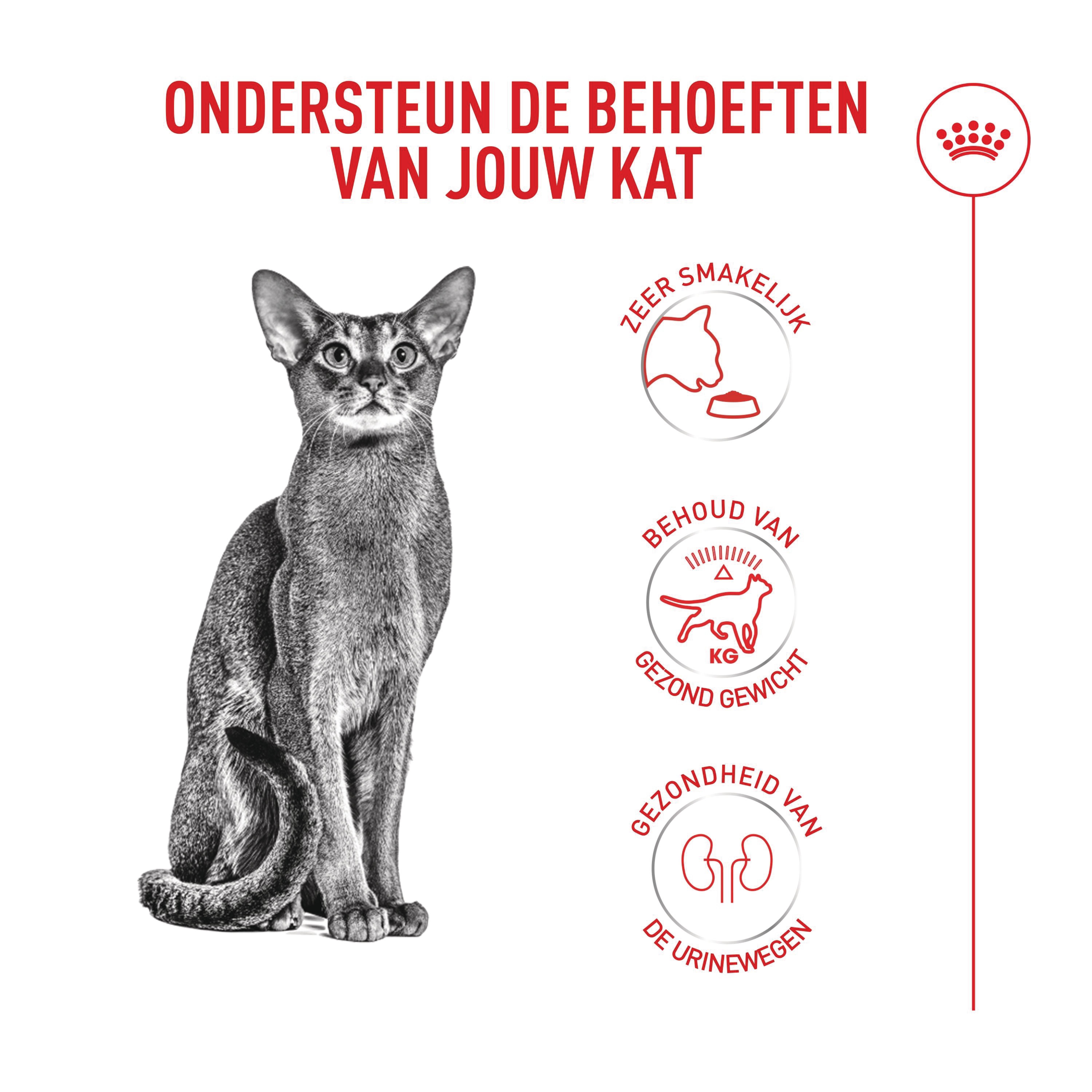 Royal Canin Fussy Exigent - Kattenvoer
