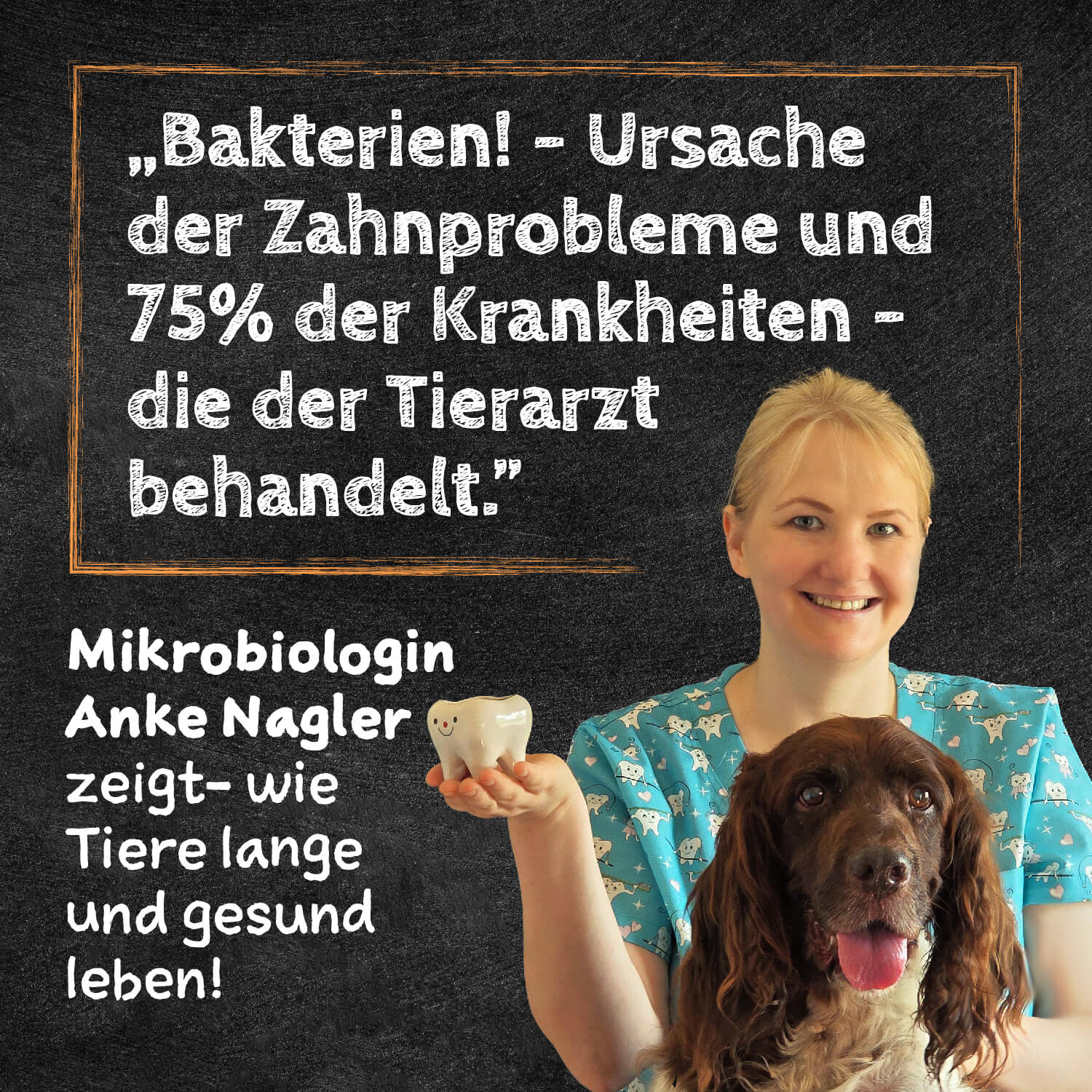 Qchefs Dreierlei Käsesnacks