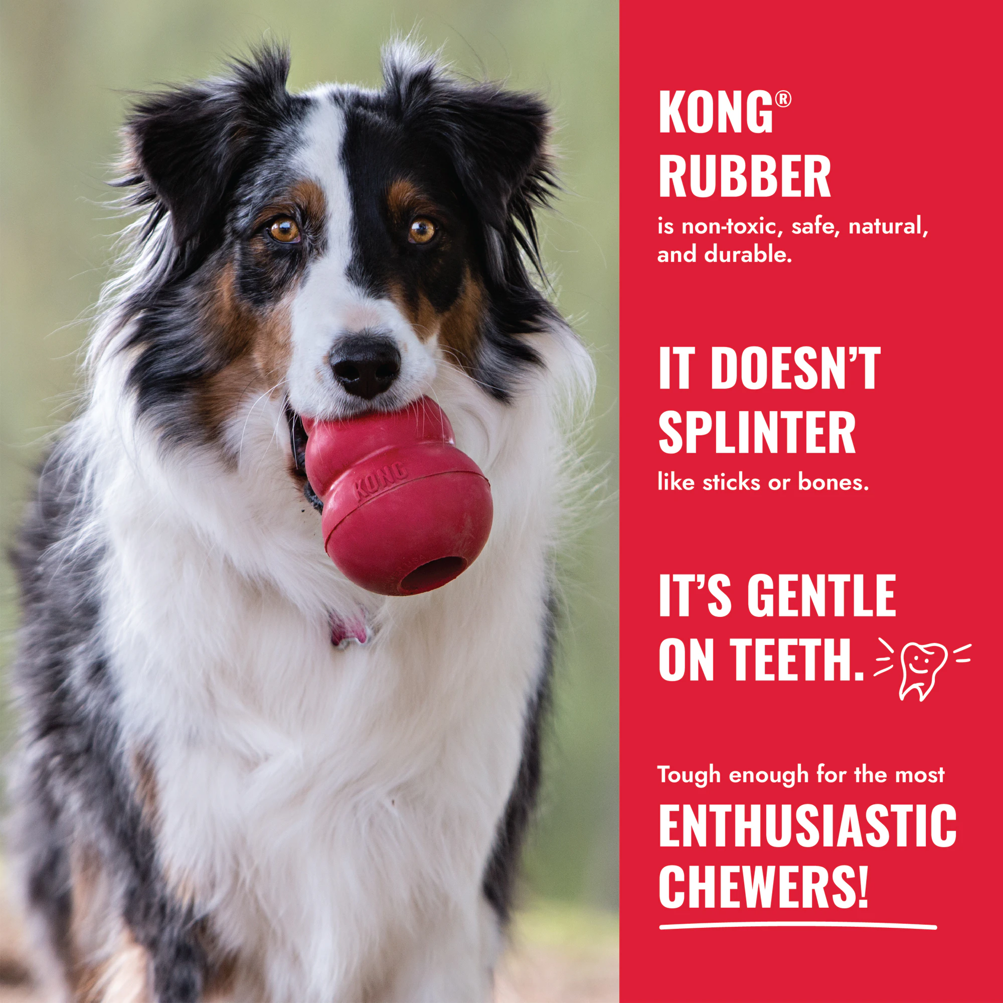 KONG Classic Donut