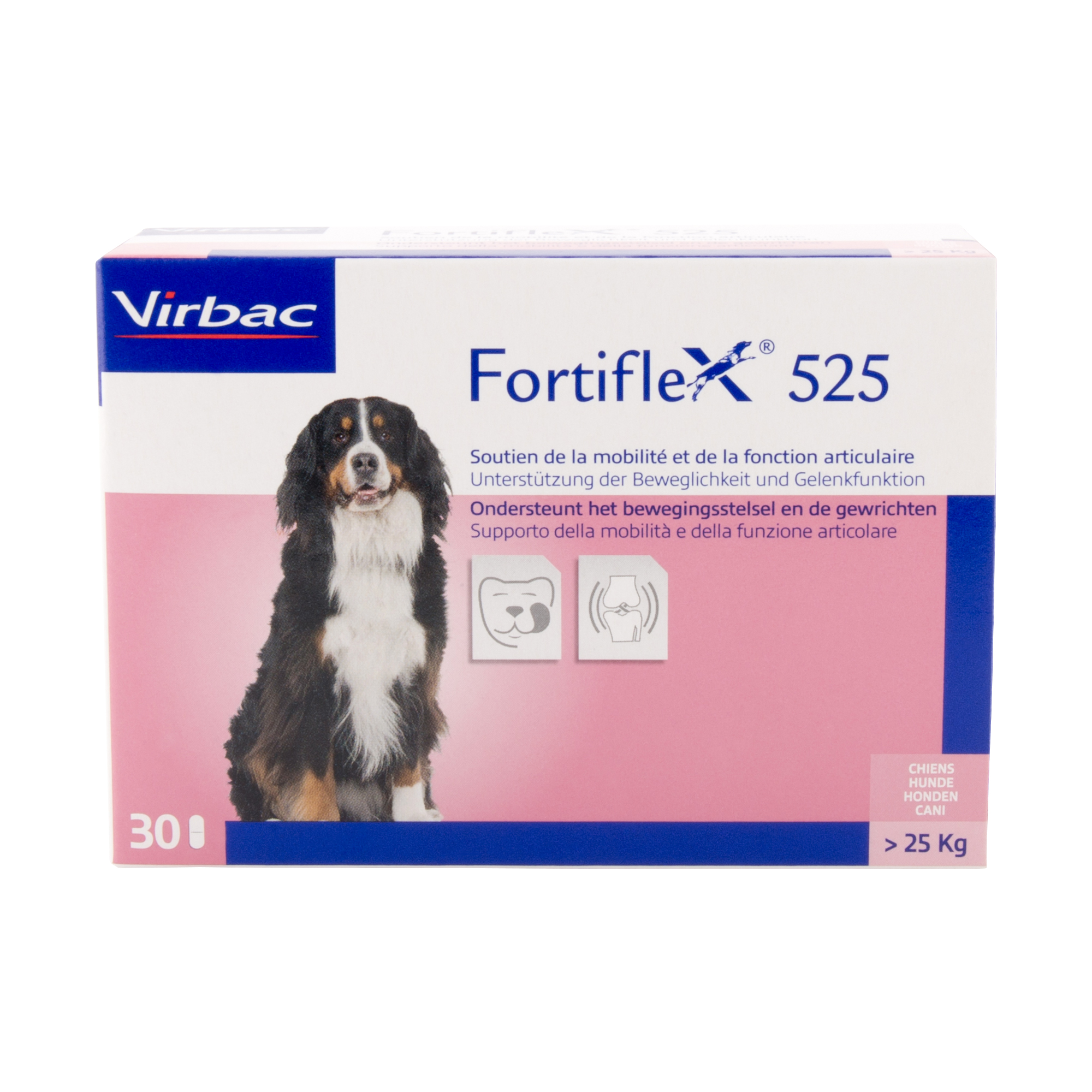 Fortiflex Advanced Formula 525 - 30 Tablets