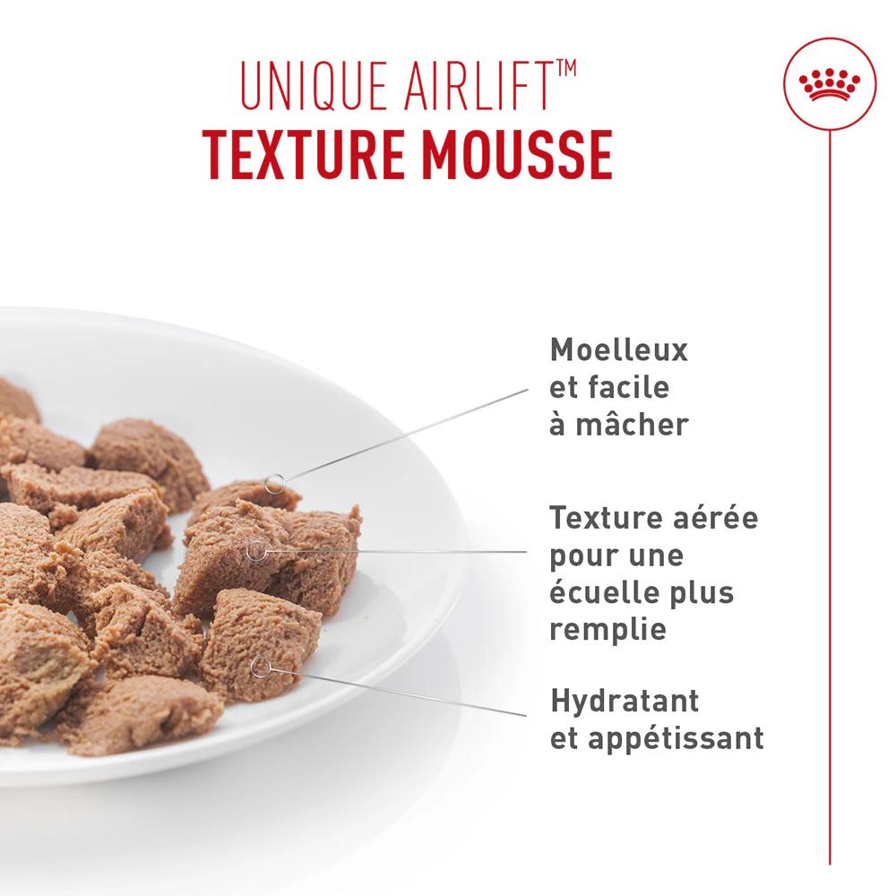 Royal Canin Appetite Control Care AirLift Mousse - Nourriture pour chat