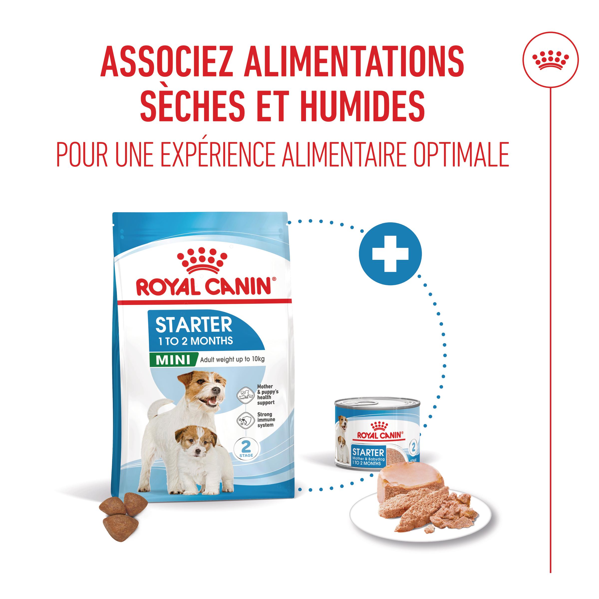 Royal Canin Starter Mousse Mother & Babydog - Boîte