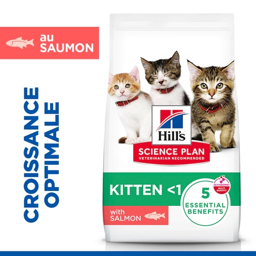 Hill's Science Plan - Chaton - Saumon