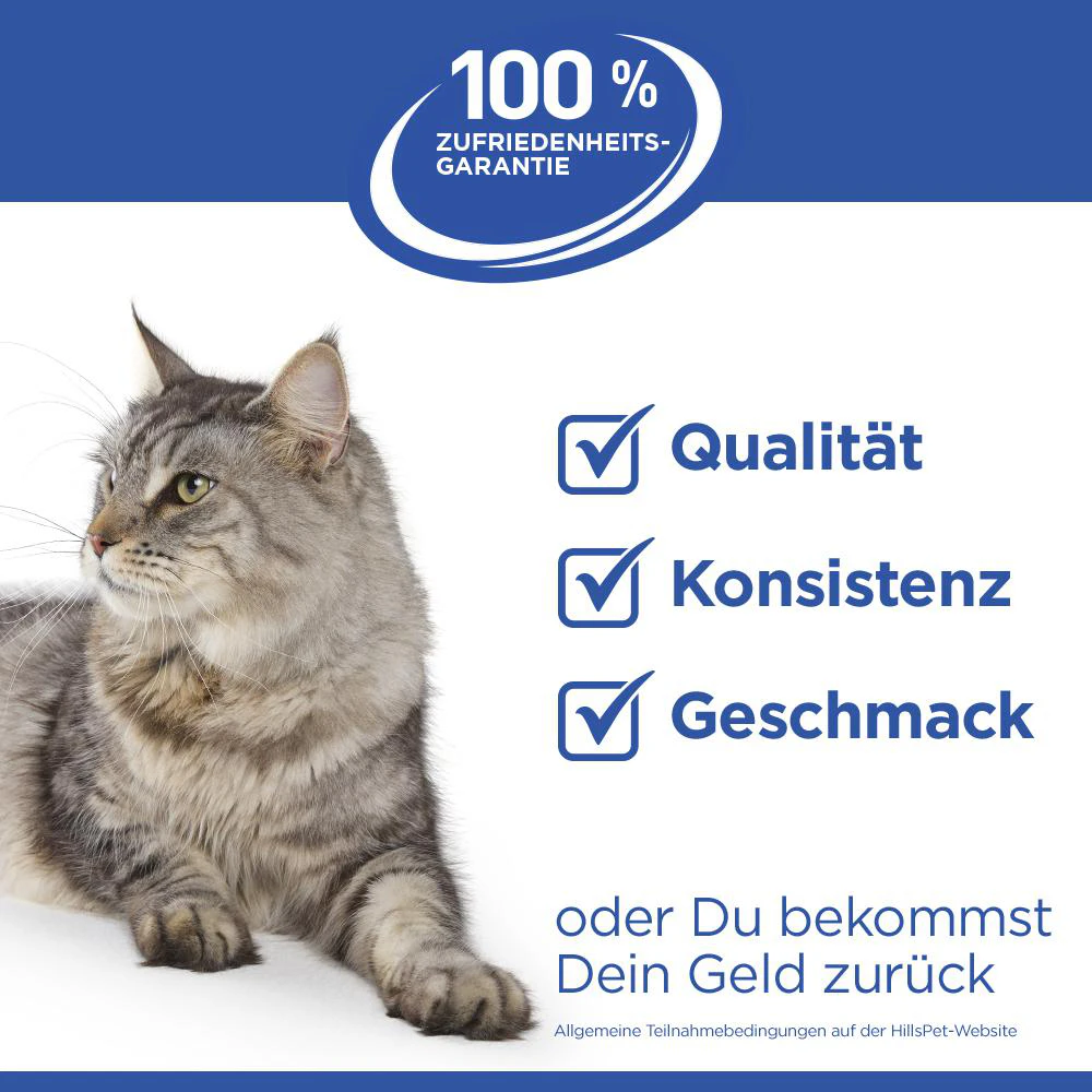 Hill's Science Plan Feline Adult Premium Mousse - Lachs