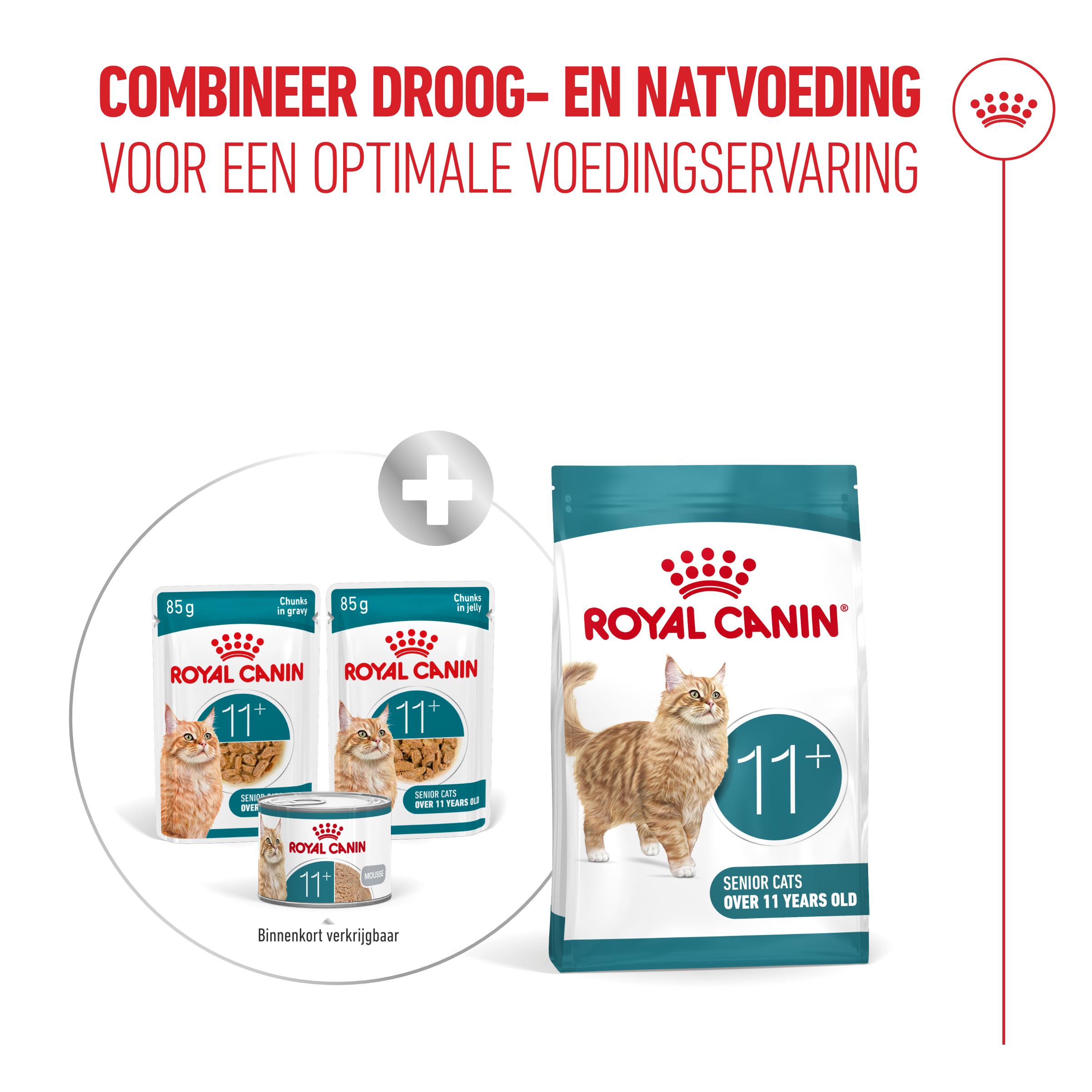 Royal Canin Ageing 11+ in Jelly - Kattenvoer