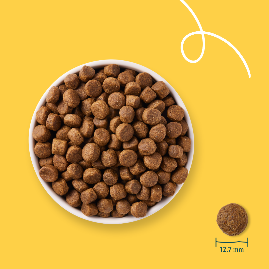 Yarrah - Dry Grain-Free Dog Food Bio