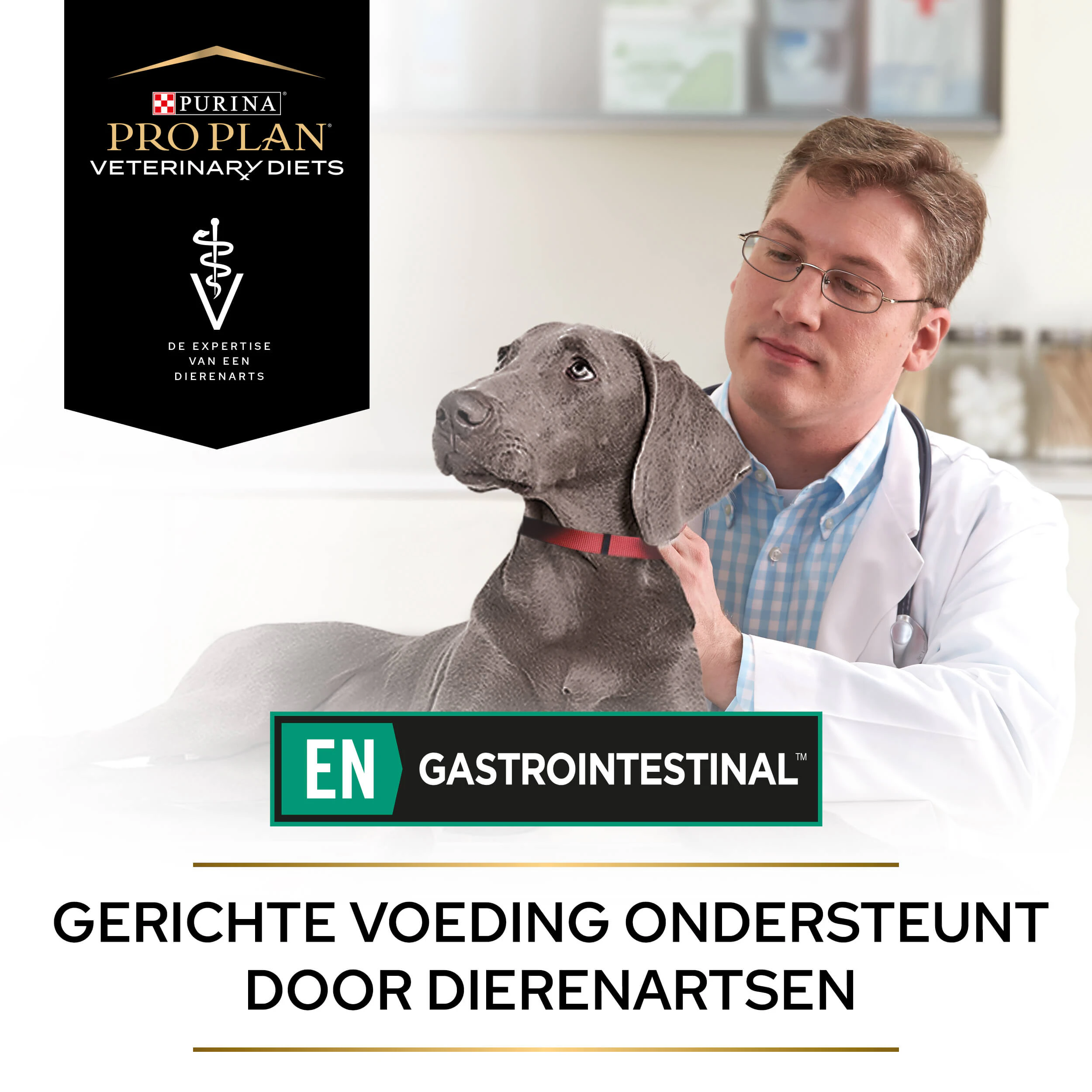 Purina Pro Plan Veterinary Diets EN Gastrointestinal - Hond