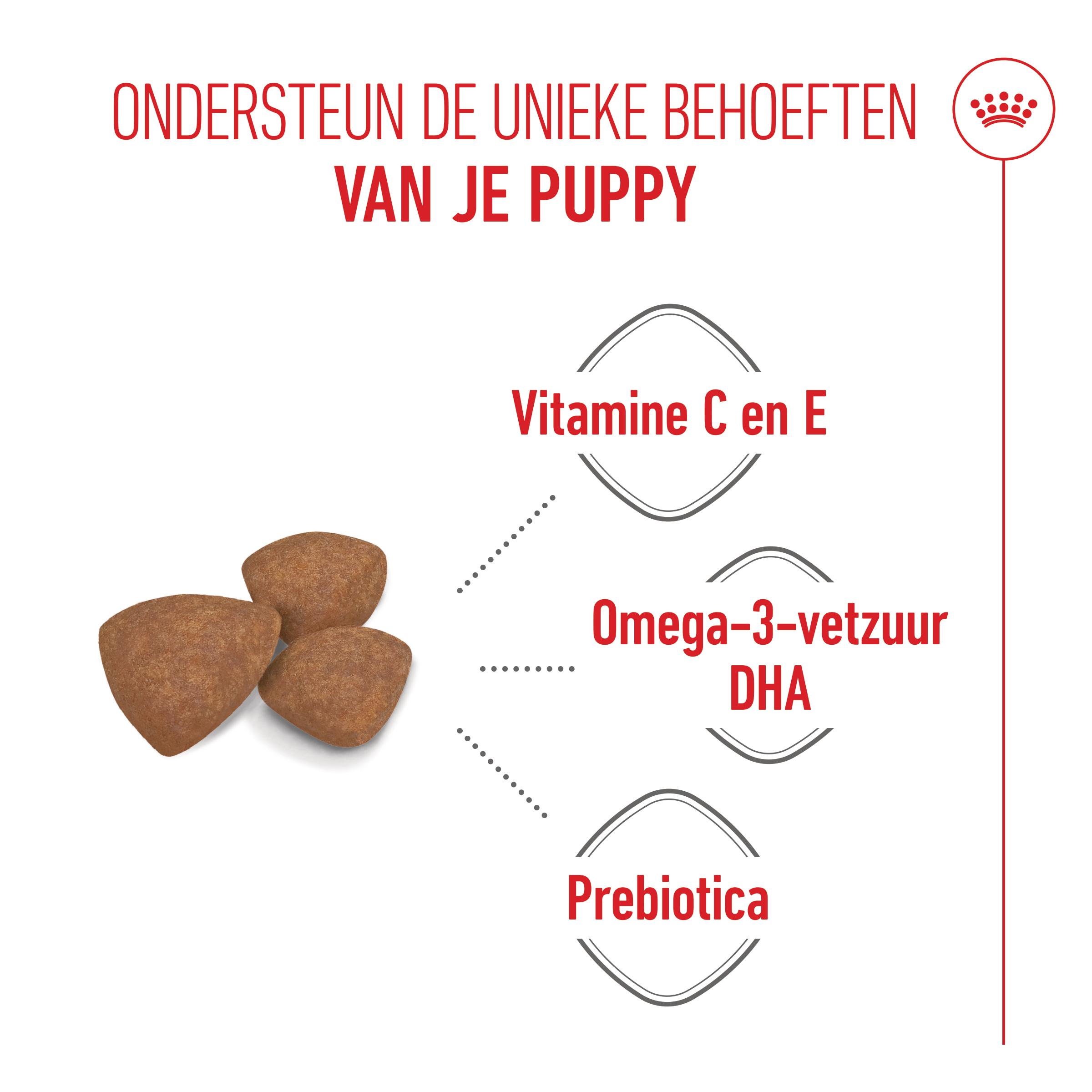 Royal Canin Mini Puppy - Hondenvoer