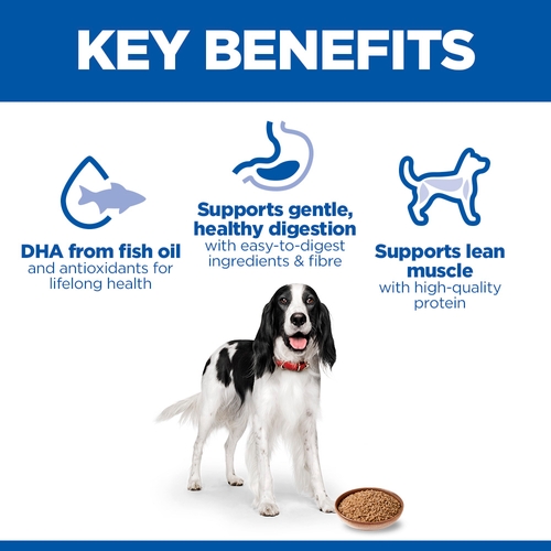 Hill's Science Plan - Medium - Adult - Chicken - Tin