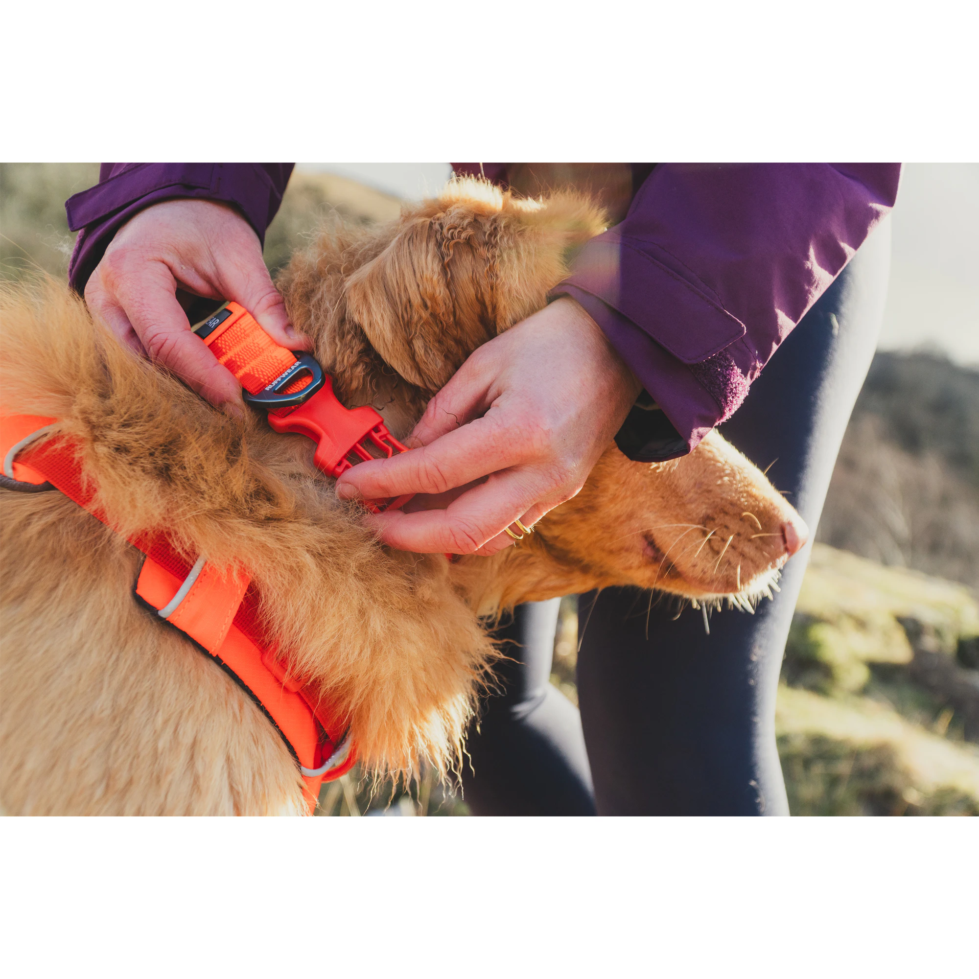 Ruffwear Front Range Collar