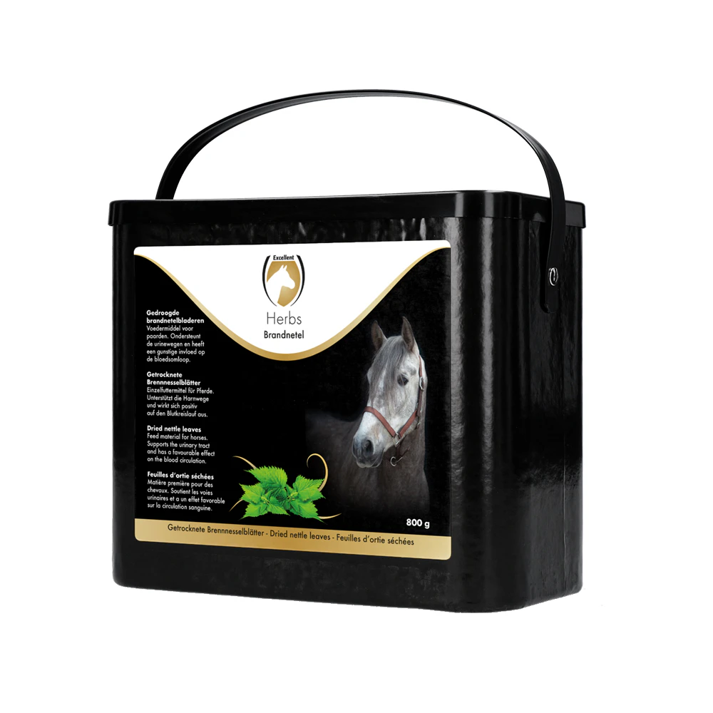 Excellent Horse Herbs Brandnetel