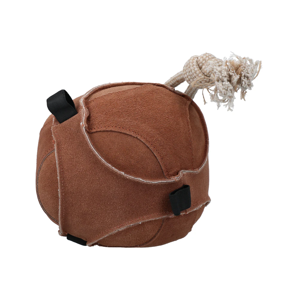 Excellent Horse Fun Play Ball